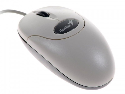Купить  мышь genius netscroll 110 optical usb white в интернет-магазине Айсберг!