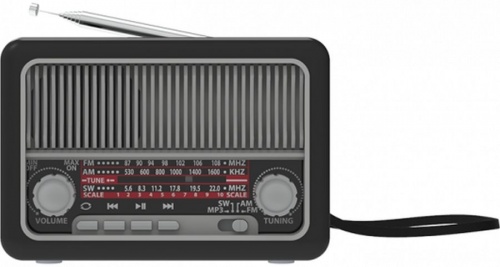 Купить  радио,часы,приемник ritmix rpr-035 silver в интернет-магазине Айсберг! фото 2