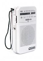 Купить  радио,часы,приемник радиоприемник эфир 01 в интернет-магазине Айсберг!