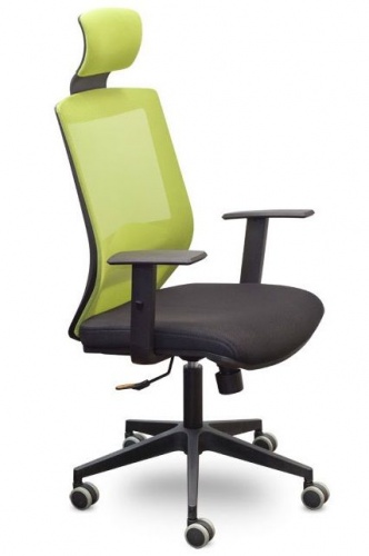 Купить  компьютерное кресло протон сн-500 гарвард т-06/hw-07/e-11-k (светло-зеленый/черный) в интернет-магазине Айсберг!
