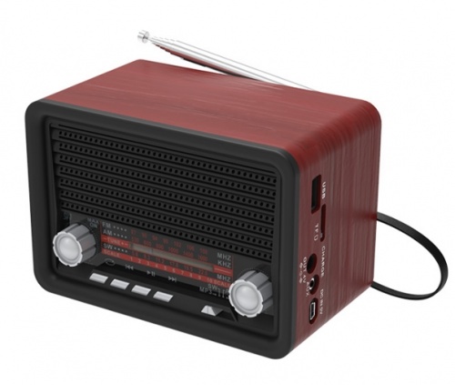 Купить  радио,часы,приемник ritmix rpr-030 black в интернет-магазине Айсберг!